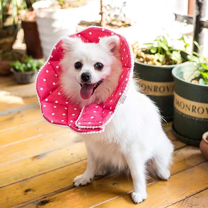 Adjustable Dog Cat Cone,Soft Recovery Cat Cone Collar,Dog Protective Collar for Cats,Puppy and Small Dogs,Pink-PawvioPets