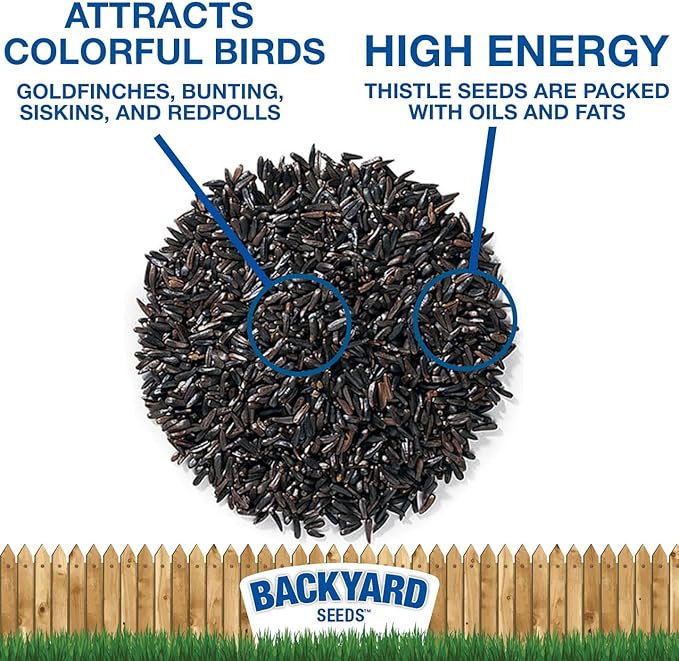 CountryMax Thistle Wild Bird Seed 40 lb – Premium Quality, 100% Clean, No Debris – Attracts Finches & Small Songbirds-PawvioPets