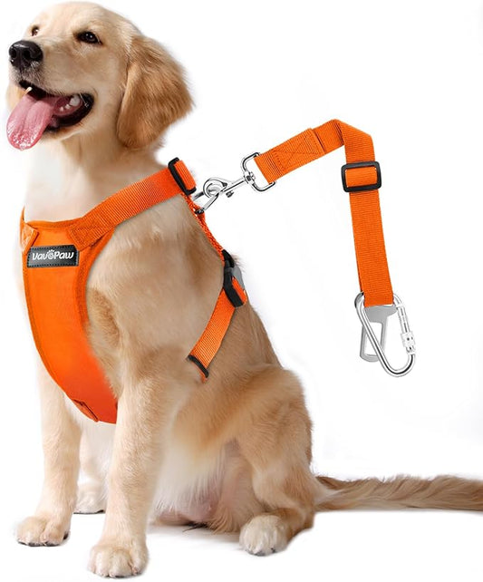 Dog Seat Belt, Safety Vest Dog Car Harness with Adjustable Buckle Dog Seat Belt for Vehicle Nylon Pet Safety Seat Belts Heavy Duty(L, Orange)-PawvioPets