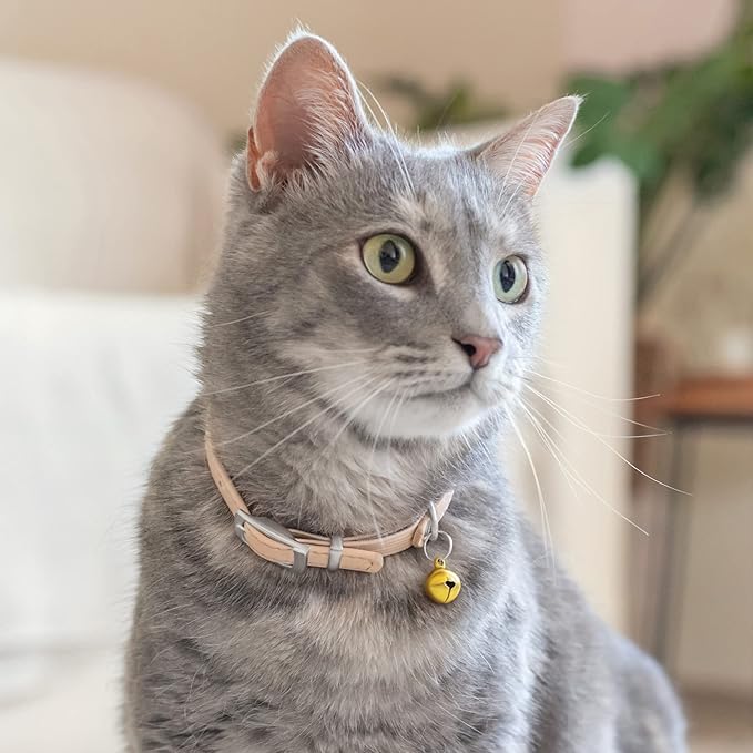 CollarDirect Leather Cat Collar with Bell - Kitten Small and Big Cat Collar for Boy Cats, Girl Cats with Safety Elastic Strap (Neck Fit 6"-7", Beige)-PawvioPets