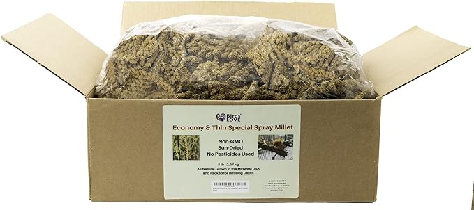 Birds LOVE Economy & Thin Special Spray Millet – 5 lb GMO-Free, No Stems (Only Edible Tops) – Healthy Treat for Cockatiels, Lovebirds, Parakeets, Finches & Canaries-PawvioPets