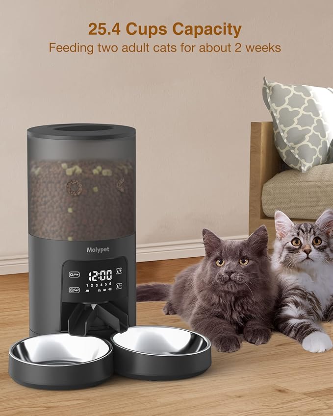 Automatic Cat Feeders - 6L Cat Food Dispenser with Double Bowls, Programmable Timed Feeder for Up to 6 Meals per Day with 10S Voice Recorder, Supports Dual Power Supply-PawvioPets
