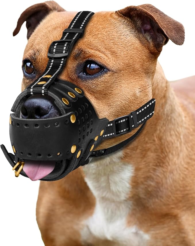 Dog Muzzle, Leather Basket Soft Muzzles Medium Large Breeds, Pitbull Dog Muzzle Amstaff Staffordshire Terrier, German Shepherd Dalmatian Doberman Adjustable (XL)-PawvioPets