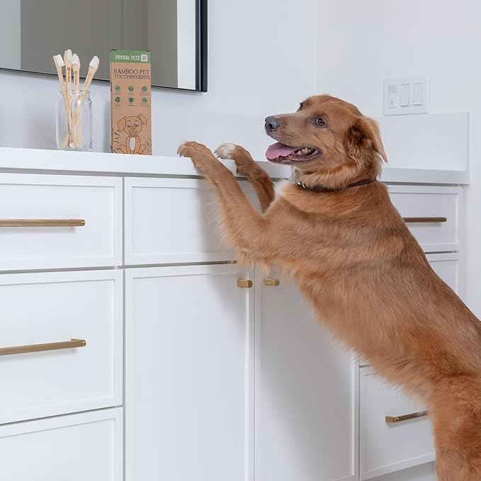 Dog Toothbrush I 4-Pack Two Sided Bamboo Toothbrush for Small and Large Dogs & Cats I Soft Bristles Gentle for Easy Dog Teeth Brushing & Dental Care-PawvioPets