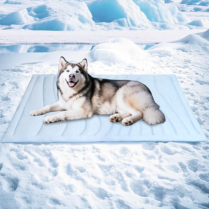 BECEMURU Dog Cooling Mat - 60" x 40" Thickening Cooling Pad Blanket for Crate, Kennel, Bed, Sofa - Machine Washable, Durable, Non-Gel - Keep Your Pet Cool and Comfortable-PawvioPets