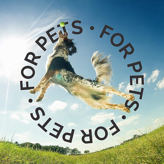 Bark2Basics Oatmeal Conditioner, Gallon - Natural Ingredients, Moisturizing, Hydrating, Crafted with Colloidal Oatmeal, Relieves Dry Itchy Irritated Skin, Coconut Fragrance-PawvioPets