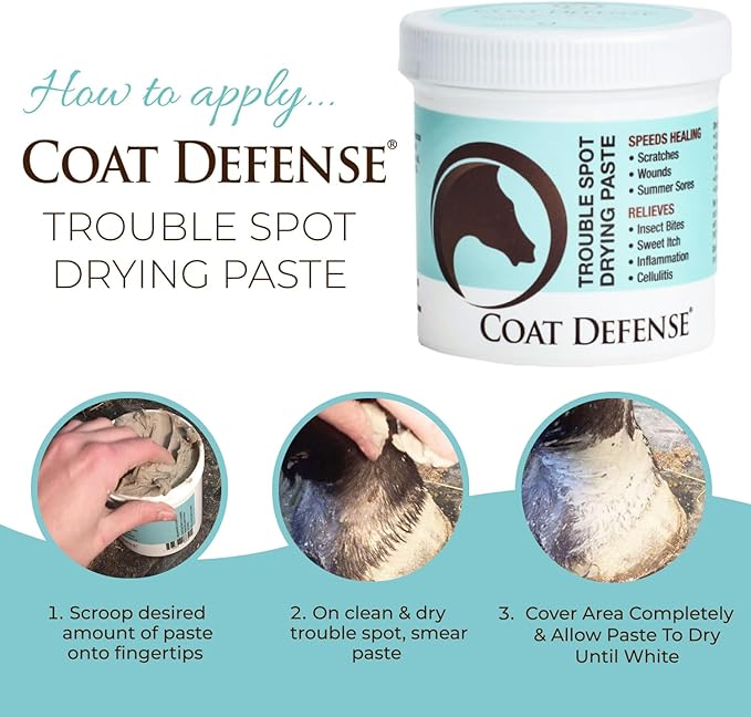 COAT DEFENSE Trouble Spot Drying Paste for Horses - Natural Equine Wound Care That Provides Safe & Effective Relief from Scratches, Sweet Itch, Summer Sores, Proud Flesh, Mud Fever, Girth Rot (10 Oz)-PawvioPets