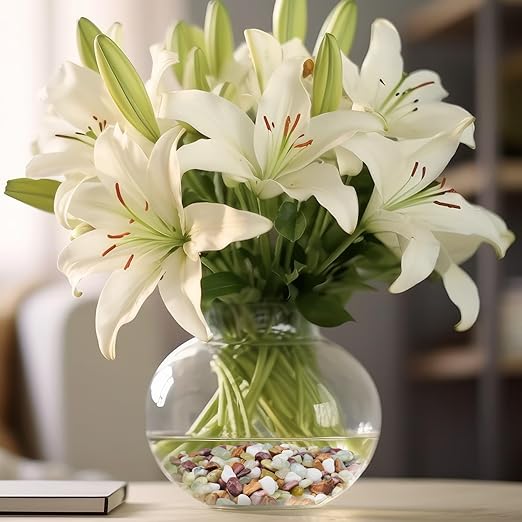 2.5lbs Pebbles for Indoor Plants, 3/8 Inch Small Rocks for Potted Plants, Succulents, Vase Fillers, Cactus Planters, Bird Bath, Fountain, Outdoor Garden Landscaping-PawvioPets