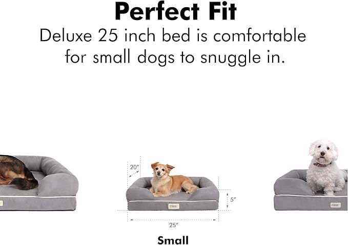 Friends Forever Small Dog Bed, Orthopedic Sofa Memory Foam Mattress, Calming Couch, Wall Rim Pillow, Water Resistant Liner, Washable Cover, Non-Slip Bottom, Chester, Small Khaki Beige-PawvioPets