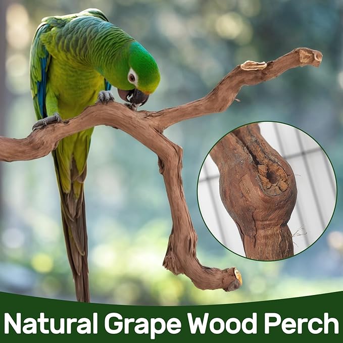 4-Piece Bird Perch Set with Rotating Ball Stand - Natural Wood Bird Gym & Playground for Parrots, Cockatiels, Budgies-PawvioPets