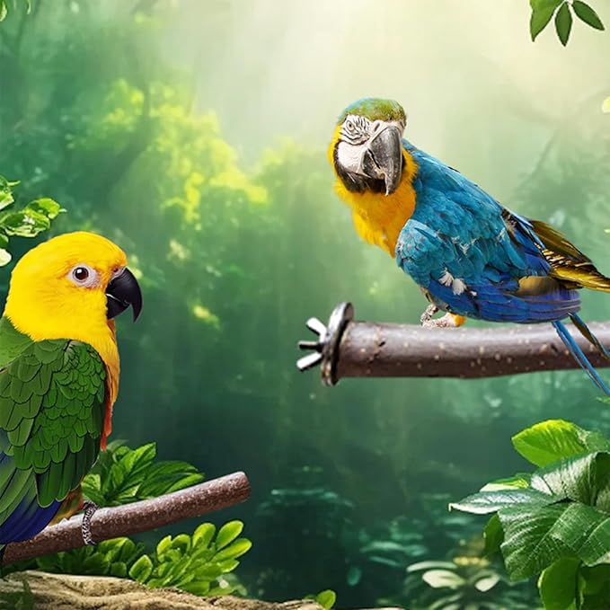 Allazone 10 PCS Natural Parrot Perch Bird Cage Accessories, Bird Platforms, Wood Stands, Grinding Fork Parakeet Platform for Small Lovebirds Budgies Cockatiels-PawvioPets