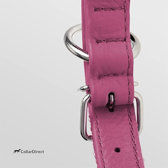 CollarDirect Rolled Leather Dog Collar, Soft Padded Round Puppy Collar, Handmade Genuine Leather Collar Dog Small Large Cat Collars 13 Colors (8-11 Inch, Pink Textured)-PawvioPets