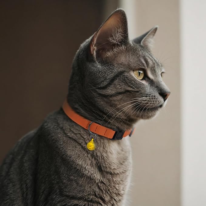 Breakaway Cat Collar Leather with Removable Bell - 13 Colors Available - Soft Adjustable Girl Boy Safety Lightweight Pet Kitten Collars Pink Brown Blue Green Red Orange Black (Denim)-PawvioPets