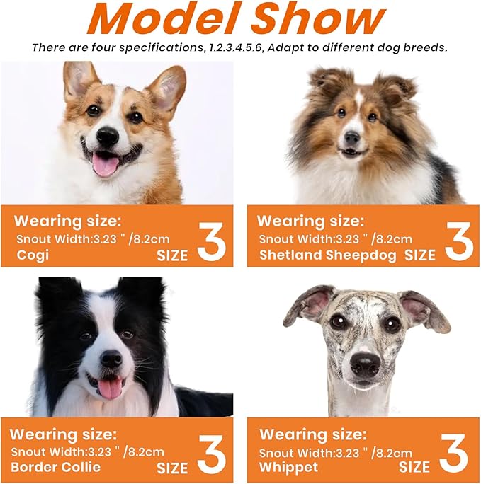 Dog Muzzle – Lightweight Breathable Basket Muzzle, Anti-Biting & Chewing, Adjustable Fit for Small, Medium & Large Dogs(Size 3)-PawvioPets