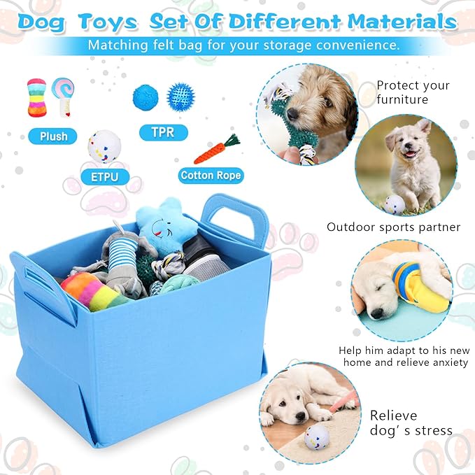 65 Pcs Puppy Supplies Starter Kit Small Dog Essentials Includes Dog Leash, Toys, Bowl, Brushes, Water Bottles, pet Blankets Puppy Accessories for New Welcome Gift Supplies(Cool,Blue)-PawvioPets