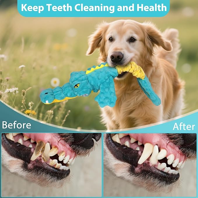 Dog Toys Cute Alligator Dog Toy Tough Plush Puppy Toy for Playtime, Training & Tug of War- Interactive Squeaky & Crinkle Chew Toy for Small to Large Dogs-PawvioPets