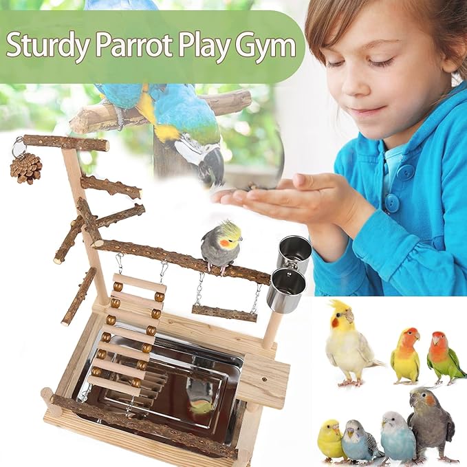 Bird Playground, Parrot Perch Stand, Natural Wood Bird Play Stands for Cockatiel Wood Perch Gym Playpen Ladder with Removable Tray and 2 Stainless Steel Cups, Bird Cage Accessories, Parrot Swing-PawvioPets