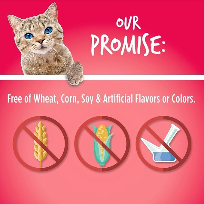 Fruitables Cat Crunchy Treats For Cats – Healthy Low Calorie Packed with Protein – No Wheat, Corn or Soy – Made with Real Salmon with Cranberry – 2.5 Ounces-PawvioPets