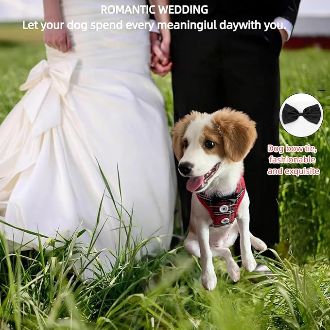 Dog Tuxedo for Wedding, Formal Pet Suit with Bow Tie and Leash, Adjustable Dog Costume for Small Medium Large Dogs, Birthday Christmas Halloween Party Apparel, M（8-14LB）-PawvioPets