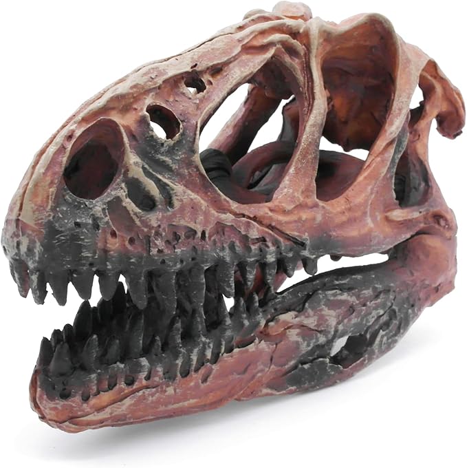 Fish Hideout Aquarium Décor Decorations Dinosaur Skull Fish Tank Decor Cave Dinosaur Skull Betta Animal Halloween Large Tarantula Reptile Bones Snake for Terrarium Ornament-PawvioPets