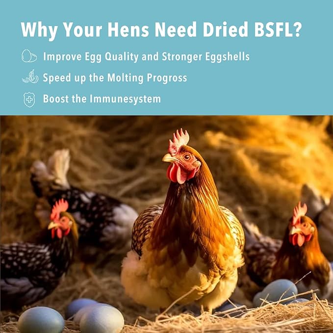 10lb Dried Black Soldier Fly Larvae Treat for Chickens More Calcium Than Mealworms,for Laying Hen,Wild Birds(10 Pound)-PawvioPets