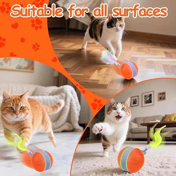 AIERSA Interactive Cat Toys for Indoor Adult Cats, Automatic Self-Play Cat Ball Toy for Kitten to Keep Them Busy, Electric Moving Chase Toy (Orange)-PawvioPets