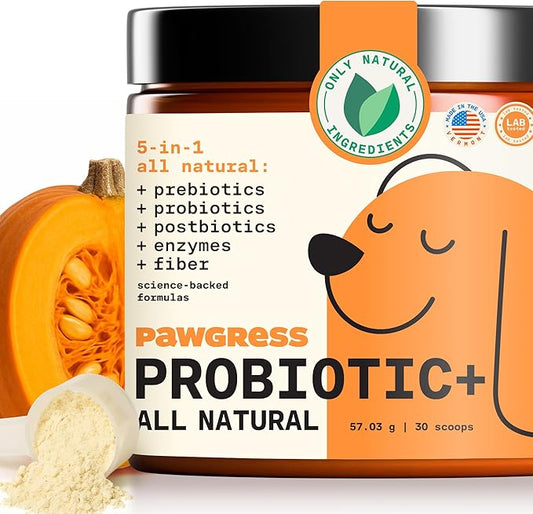 5-in-1 Dog Probiotic Powder – 100% Natural Gut Health Support with Prebiotics, Postbiotics & Enzymes – Crafted by Dog Nutritionist Kayla Kowalski, Made in USA – 30 Scoops-PawvioPets