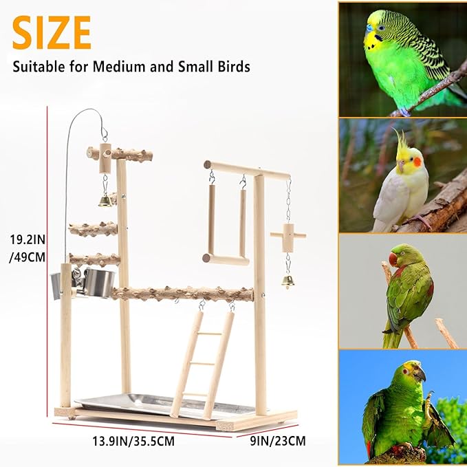 Bird Playground Parrot Playstand Bird Perch Stand Gym Natural Wood Play Stand with Swing Ladder Feeder Cups for Parakeets Cockatiels Lovebirds Conures Budgies-PawvioPets