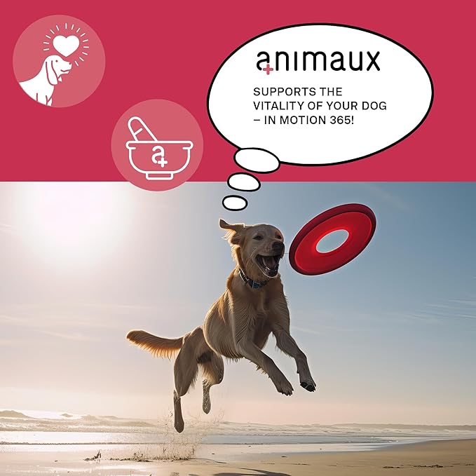 animaux – in Motion 365 for Dogs, Joints, Bones, Mobility, Ligaments and Tendons, Green-Lipped Mussel, Willow Bark and Devil’s Claw, Natural Pain Relief, 60 Chewable Tablets, 60 Days Supply-PawvioPets