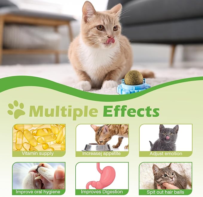 360° Catnip for Cats Wall Catnip Rollerball Licking Ball Cat Nips Mint Magic Cat Stick on Wall Crack Balls Lickable Play Chew Teeth Cleaning Pet Chew Indoor Outdoor-PawvioPets