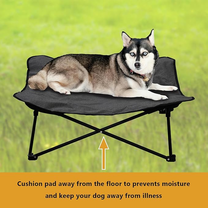 Elevated Dog Bed, Portable Raised Pet Cot for Outdoor and Indoor Folding Dog Cot Bed with Padded Filling Carrying Bag Included Pet Raised Travel Lounger for Camping Traveling (36x36x12inch)-PawvioPets