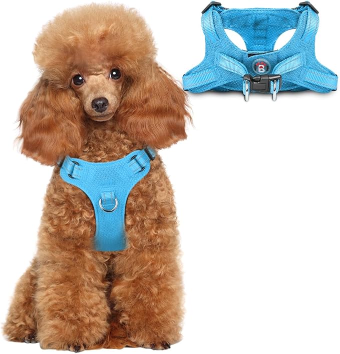Dog Harness Step in Dog Vest Harness, Reflective Adjustable Puppy No Pull Harness Breathable Soft for Small and Medium Dogs Cats, Blue, XS-PawvioPets