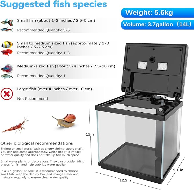 AQQA 3.7 Gallon Aquarium Starter Kit Small Glass Fish Tank with Filter and Light (10 Colors Adjustable) Desktop Self-Cleaning Betta Fish Tank Kit Office & Home Decor Idea (Black)-PawvioPets