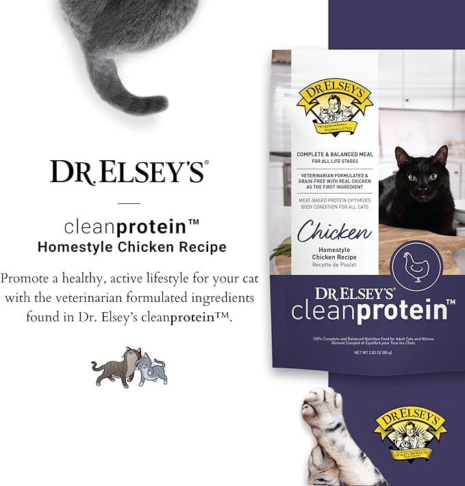 Dr. Elsey's Clean Protein Chicken Home Style Recipe All-Meat Pouch (Pack of 12)-PawvioPets