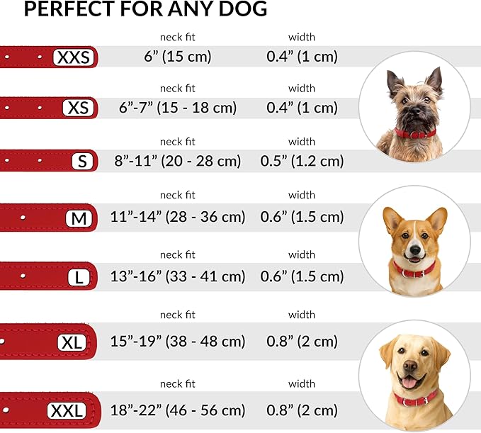 CollarDirect Rolled Leather Dog Collar, Soft Padded Round Puppy Collar, Handmade Genuine Leather Collar Dog Small Large Cat Collars 13 Colors (6 Inch, Red Smooth)-PawvioPets