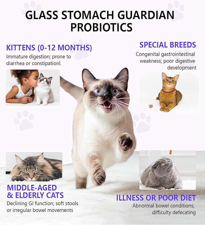 Cat Constipation Relief, Constipation Relief for Cat, Cat Laxative Constipation Relief, 100% Natural Cat Laxative with Probiotics Cat Stool Softener, Promotes Digestive Health - 2 fl oz-PawvioPets