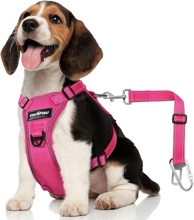 Dog Seat Belt Harness for Car, Dog Car Harness Adjustable Mesh Breathable & Dog Seatbelt Safety Tether with Elastic Bungee for Small Medium Large Pets(Rose, M)-PawvioPets