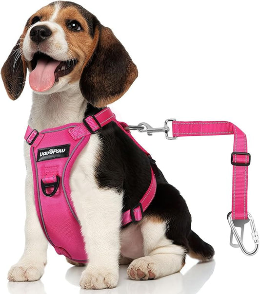 Dog Seat Belt Harness for Car, Dog Car Harness Adjustable Mesh Breathable & Dog Seatbelt Safety Tether with Elastic Bungee for Small Medium Large Pets(Rose, M)-PawvioPets