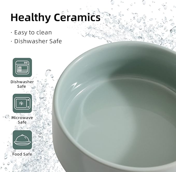 Ceramic Set of 2 Cat Bowls, Food and Water Bowls for Cats, Kitty, 2pcs Cat Dishes, Pet Feeder(5.1inch, 2 x Light Green Bowls)-PawvioPets