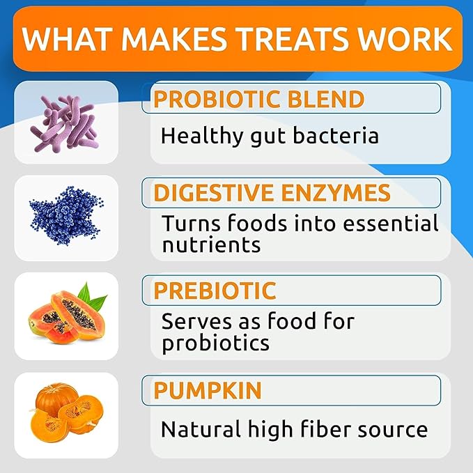 Bark&Spark Dog Probiotics & Digestive Enzymes (Gut Health) Allergy & Itchy Skin - Pet Diarrhea Gas Treatment Upset Stomach Relief, Digestion Health Prebiotic Supplement Large Dog Treats (240Ct Bacon)-PawvioPets