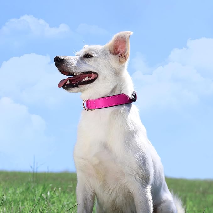 Didog Soft Padded Dog Collars for Small Dogs, Lightweight and Breathable Dog Collar with Metal Buckle for Puppy, Rose Purple, S-PawvioPets