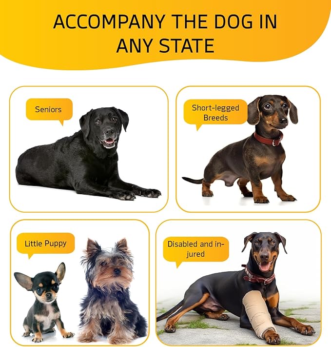 Dog Stairs for Bed, Dog Steps for Bed Couch Sofa, 35D Foam Pet Steps for Small Dogs and Cats, Extra Wide Pet Stairs with Non-Slip Bottom Grey, 3 Steps-PawvioPets