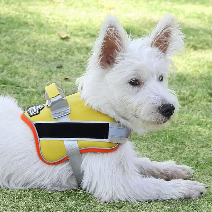 Bolux Dog Harness, No-Pull Reflective Dog Vest, Breathable Adjustable Pet Harness with Handle for Outdoor Walking - No More Pulling, Tugging or Choking (XX-Large (Pack of 1), YellowOrange)-PawvioPets