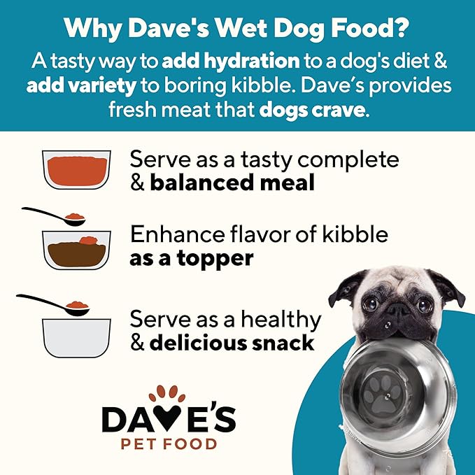 Dave's Pet Food Sensitive Skin Dog Food for Skin and Coat (Chicken & Sweet Potato), Wet Canned, Made in USA, 13.2oz Cans (12 Pack)-PawvioPets
