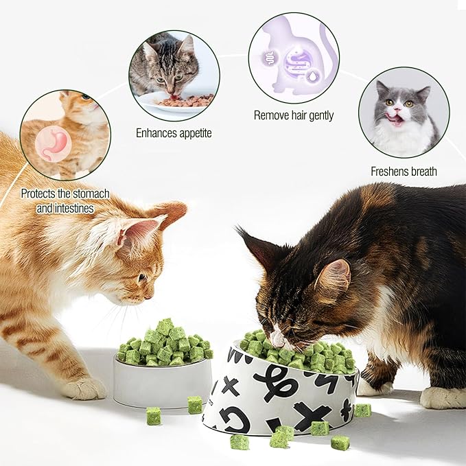 50g Cat Grass Teething Treat, Delicious Cat Grass Teething Snack Edible Cats Chew Toy for Teeth Cleaning and Hairball Removal-PawvioPets