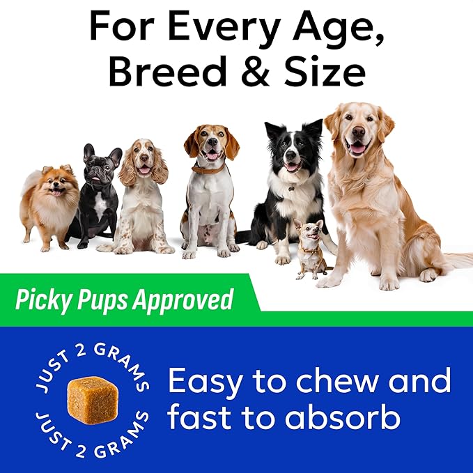 BARK&SPARK Green Grass Chews - Pee Grass Spot Saver Caused by Dog Urine - Urine Neutralizer for Lawn, Gut Health Probiotics & Digestive Enzymes,Lawn Burn from Dog Urine, Grass Burn Spot Chews, Rocks-PawvioPets