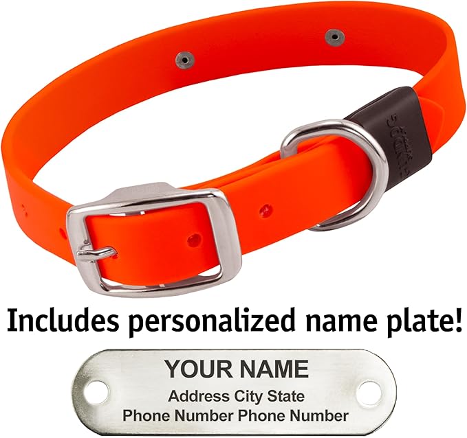 Biothane Custom Dog Collar – Waterproof, Stink-Proof Personalized Collar with Name & Phone Number – Durable, Many Sizes and Colors – Assembled in USA (Hunter Orange)-PawvioPets