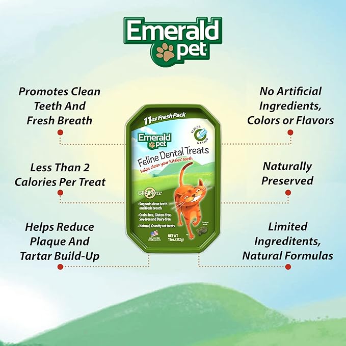 Feline Dental Treats — Tasty and Crunchy Cat Dental Treats Grain Free — Natural Dental Treats to Clean Cat Teeth, Freshen Cat Breath, and Reduce Plaque and Tartar Buildup — Catnip Treats, 11 oz-PawvioPets