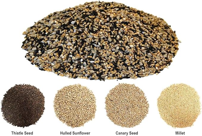 CountryMax Backyard Seeds Finch & Small Songbird Frenzy Wild Bird Seed Mix – 5 lb Bag | Premium Blend with Nyjer, Millet, Sunflower Chips | Attracts Goldfinches, House Finches, Chickadees-PawvioPets