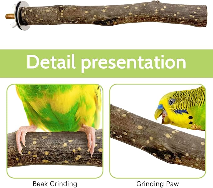 BNOSDM Natural Wood Bird Ladder Perch 6Pcs Parrot Stand Branches Climbing Chewing Stick Parakeet Swing Toys Cage Accessories Paw Grinding Fork Sets for Lovebirds Cockatiels Conure Budgies-PawvioPets